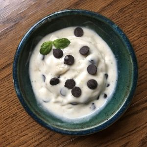 vegan mint chocolate chip ice cream