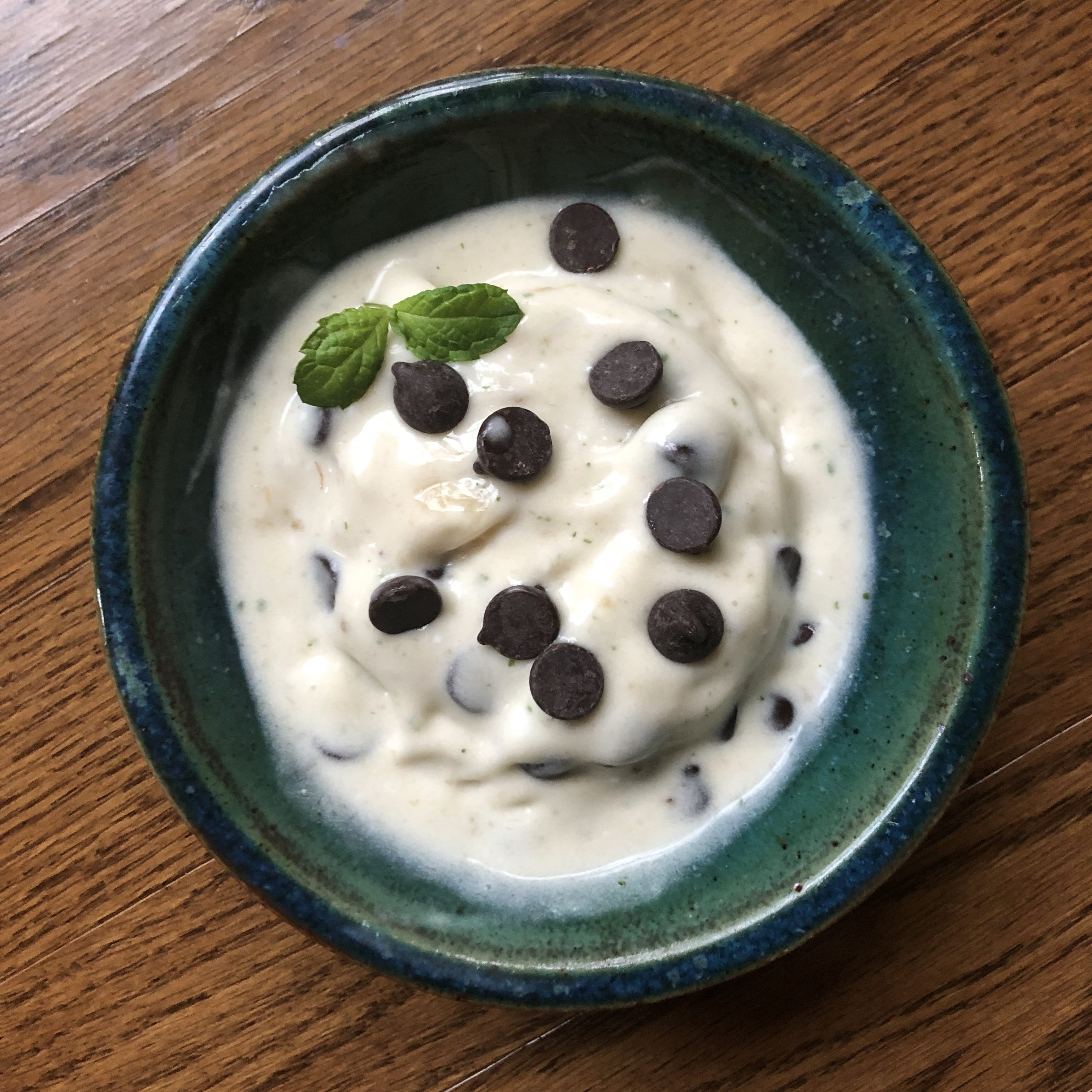 Vegan Mint Chocolate Chip Ice Cream