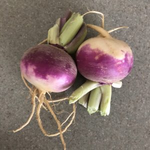 purple top turnips