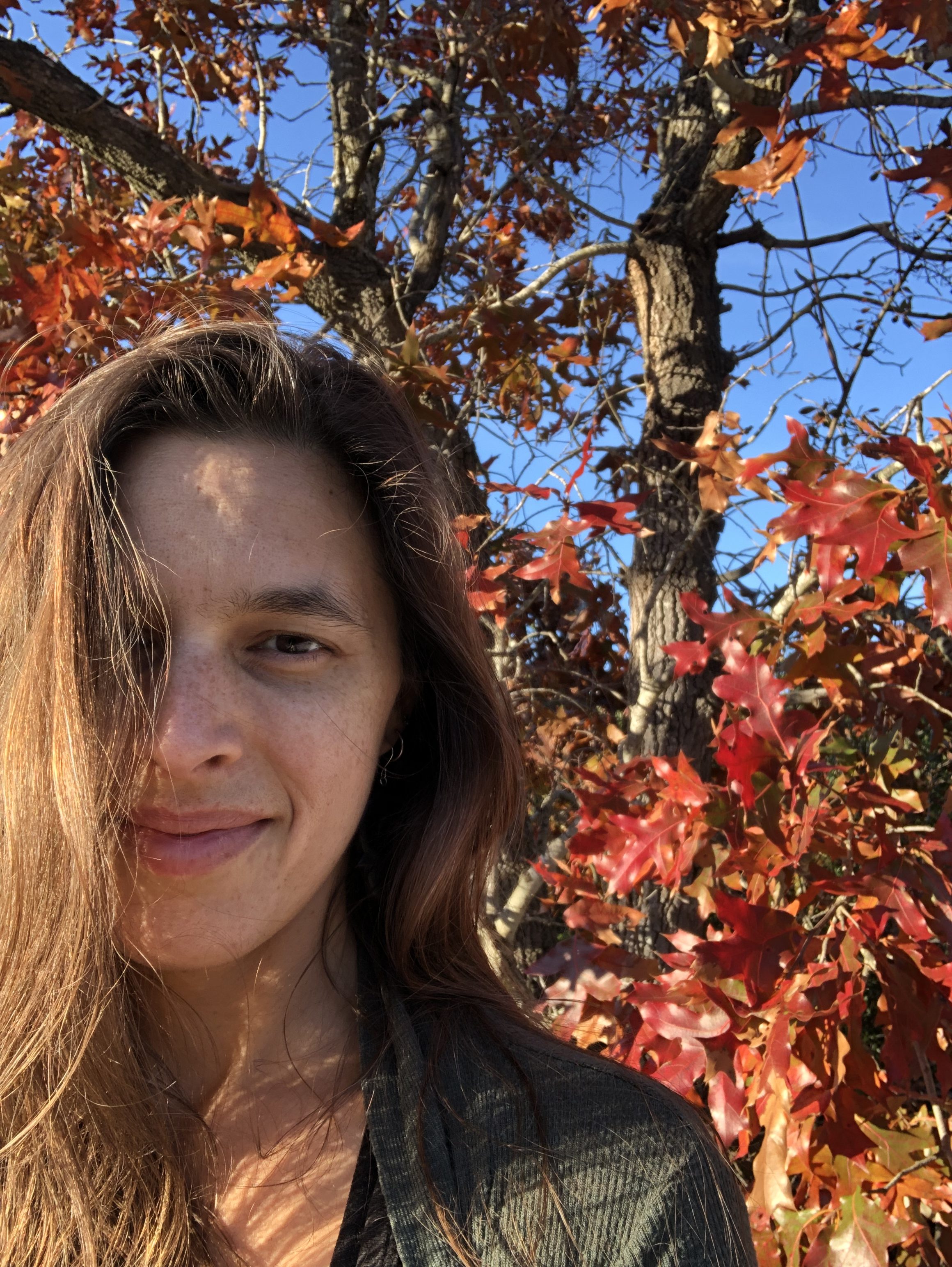 3 Ways to Handle the Seasonal Transition into Autumn