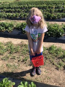 support small businesses